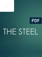 THE STEEL.pptx