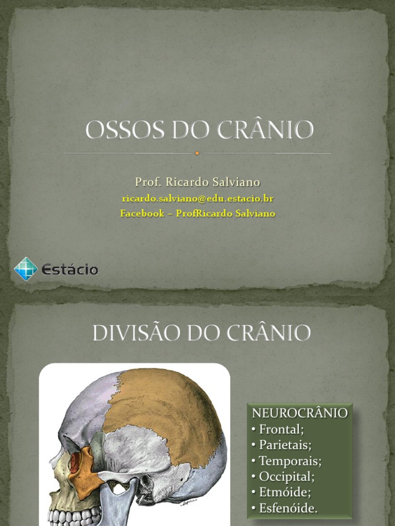 Aula 1 Ossos Do Crânio Pdf Cabeça E Pescoço Humano Anatomia Animal