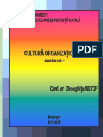 Cultura Organizationala Introducere