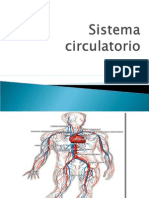 Sistema Circulatorio Power Point