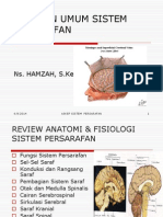 Riview Anfis--px Fisik Diagnostik Persarafan 2013