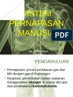 Sistem Pernapasan Manusia