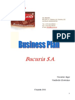 Business Plan - Bucuria Sa.[Conspecte.md]
