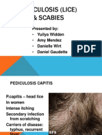 Scabies Lice