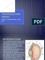 Transduccion Visual