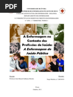 Enfermagem de Saúde Pública - A Enfermagem no Contexto das Profissoões de Saúde