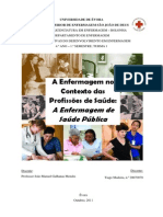 Enfermagem de Saúde Pública - A Enfermagem No Contexto Das Profissoões de Saúde