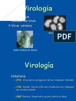 Virus TEMA PRESENTACION