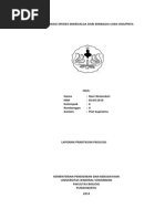 Download Identifikasi Spesies Mikroalga Dari Berbagai Cara Hidupnya by Rani Wulandari SN228688429 doc pdf