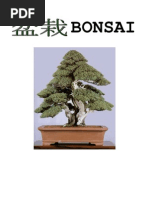 Download Bonsai by gonzalo_celis SN22869181 doc pdf