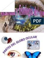 anatomiayfisiologiadelojo-121229100135-phpapp02