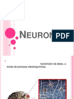 Diapositivas- Neurona 24 de Mayo (1)