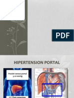 Hipertension Portal