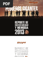 Reporte -2013 OK Final