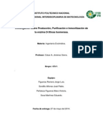 Producción - Purificación - Inmovilización - Xilosa Isomerasa - Proyecto Ingeniería Enzimática