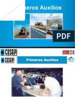 Primeros Auxilios