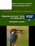 Uma num milhão de disparos