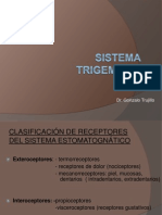 Sistema Trigeminal Odontologia 2008