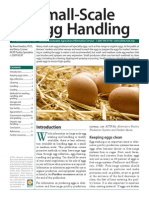 Egg Handling