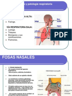 Anatomarespiratoria 100318235727 Phpapp01
