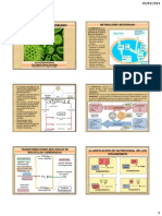 Metabolismo Microbiano