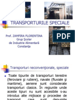 Transporturi Speciale