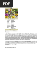 Download Lalat by IkmaAliva SN228742944 doc pdf