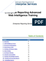 Web Intelligence Advanced