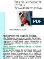 Analisis de La Conducta y Personalidad Delictiva-Olga