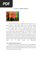 72529088 Scurt Istoric Al Gumei de Mestecat