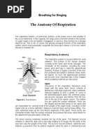 Breathing For Singing-The Anatomy of Respiration