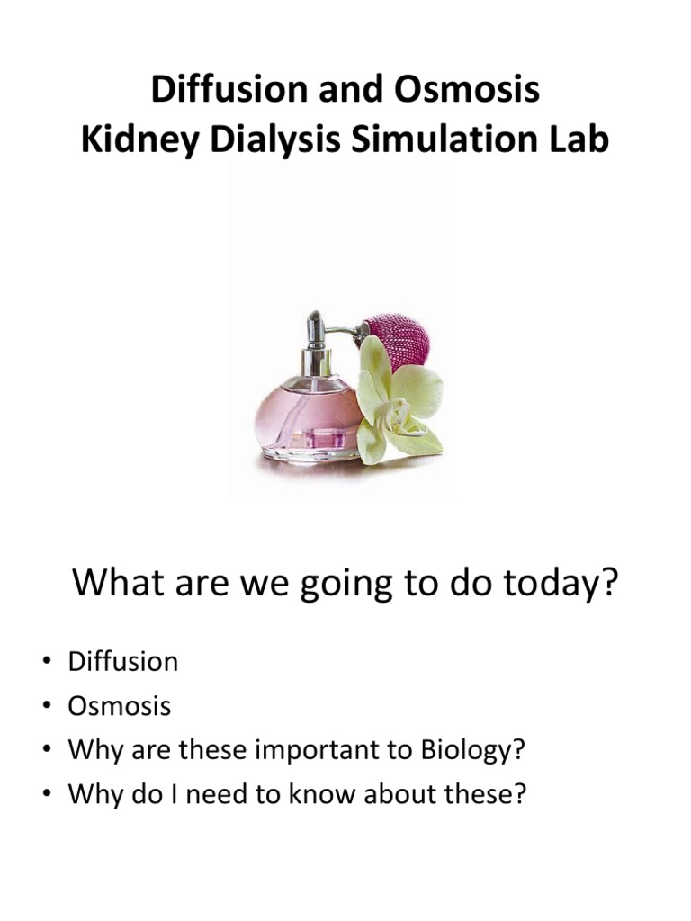 Lab 3 Diffusion and Osmosis PDF