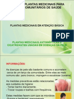 Plantas Medicinais Antissepticas e Cicatrizantes Sadas Em Doencas de Pele