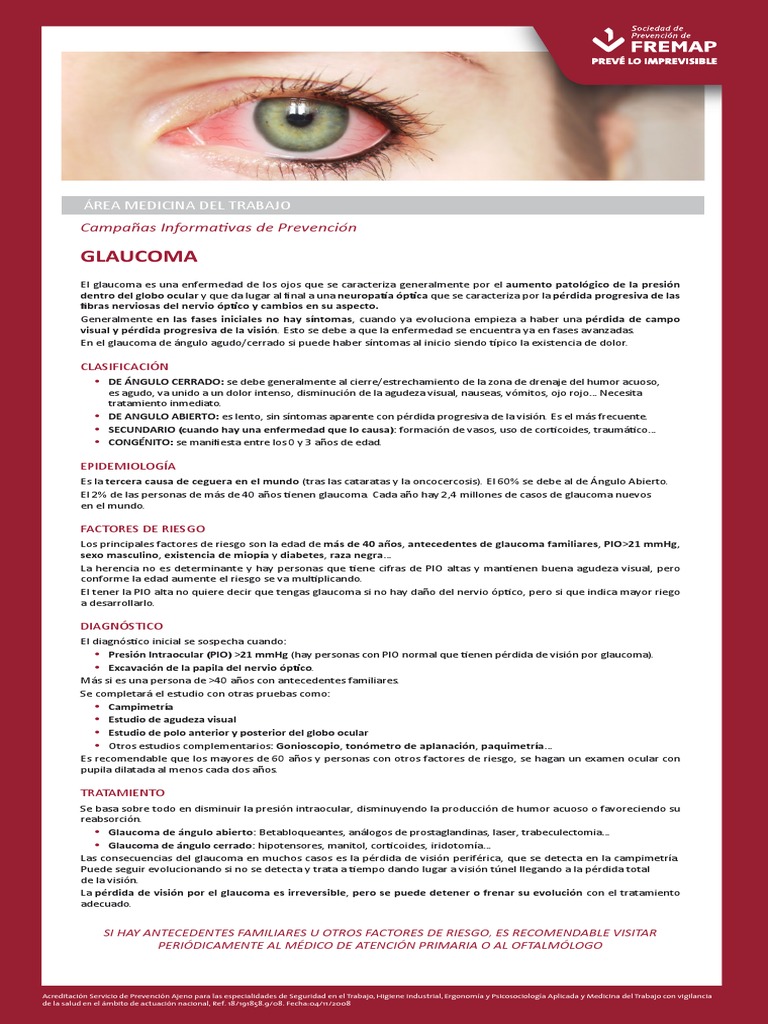 Glaucoma | PDF | Visión | Sistema visual