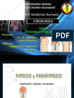Fimosis y Parafimosis