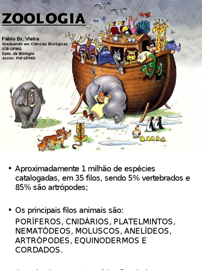 Características dos Cnidários e Acelomados | PDF | Zoologia | Natureza