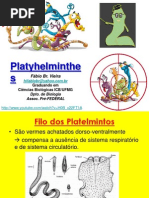 Platelmintos