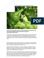 Download Buah Sirsak Durian Belanda by yatipgsr SN22884485 doc pdf