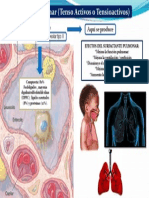 14 Surfactante Pulmonar 02 - ABR-14