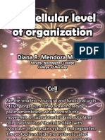 the cellular basis of organization