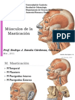 UC Msculos D La Masticcion 2011 E Zavala C