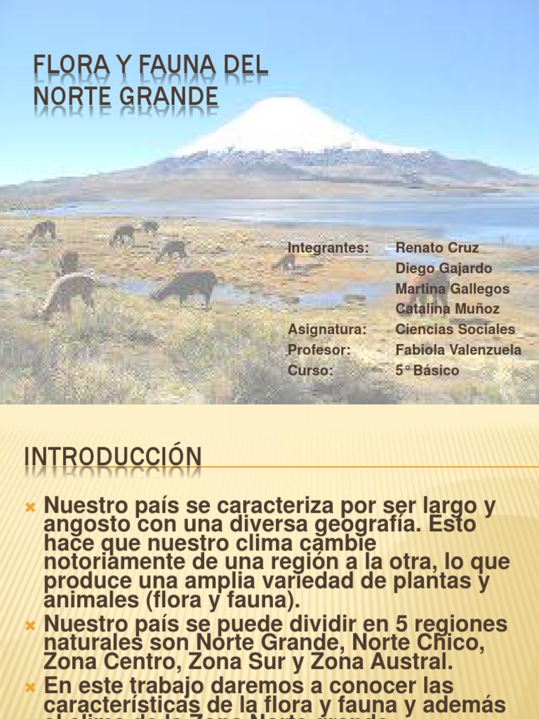Clima y Biodiversidad del Norte Grande | PDF