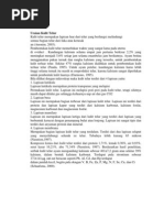 Download Uraian Kulit Telur by Jodie Prayogo SN228888427 doc pdf