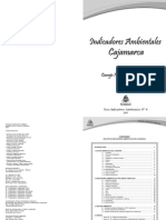 Indicadores_cajamarca.pdf