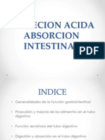 Secrecion Acida Absorcion Intestinal
