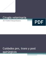 Cirugía Veterinaria 3