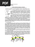 Resistencia Globular