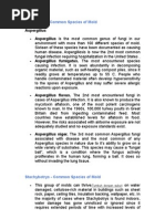 Download Common Spesies of Mold by n4zer SN2289265 doc pdf