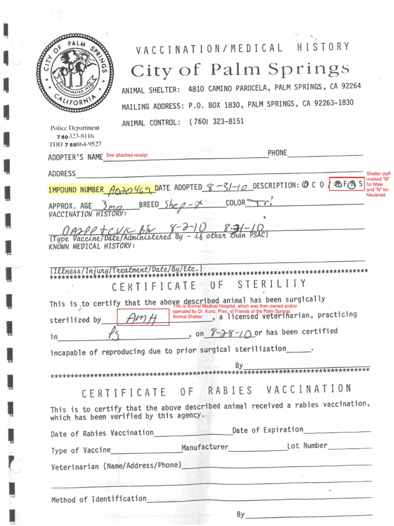 King Kong Certificate of Sterility and Receipt PDF