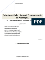 Breve Informe Sobre Los Principios Presupuestarios, Ciclo y Control Presupuestario